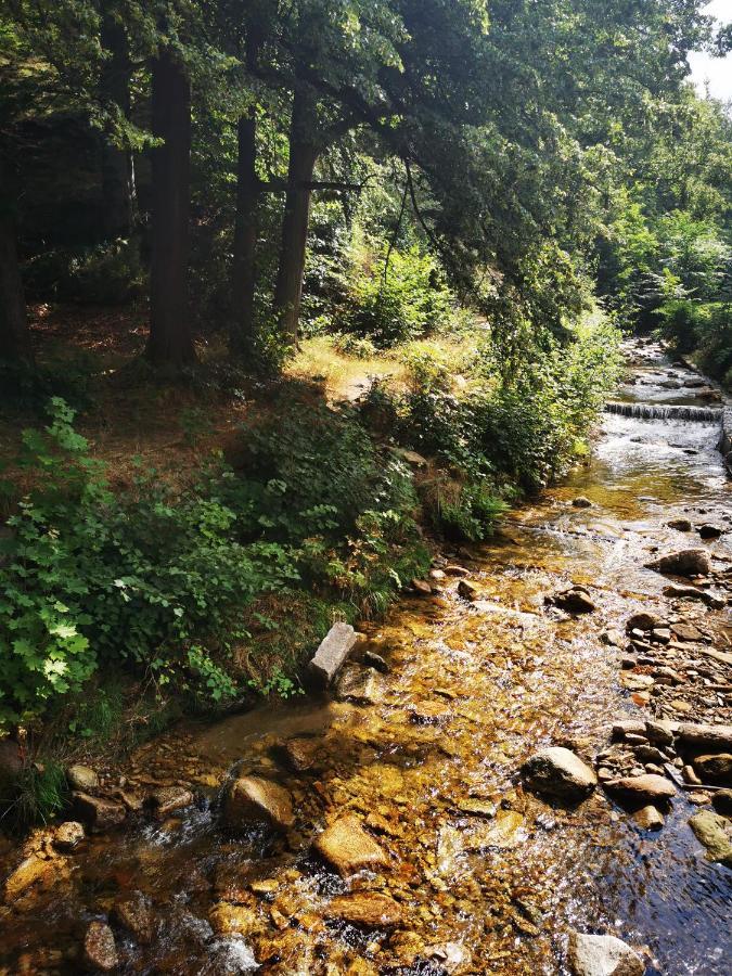 Chillout-Aparts Świeradów-Zdrój Exterior foto